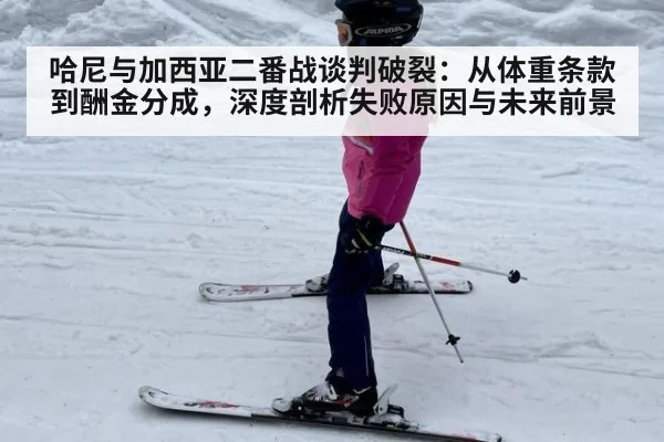 哈尼与加西亚二番战谈判破裂：从体重条款到酬金分成，深度剖析失败原因与未来前景