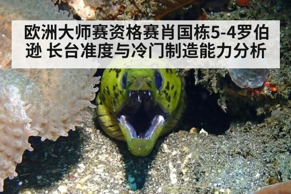 欧洲大师赛资格赛肖国栋5-4罗伯逊 长台准度与冷门制造能力分析