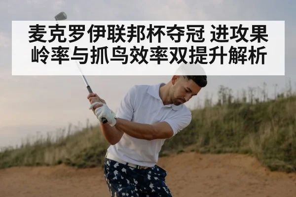 麦克罗伊联邦杯夺冠 进攻果岭率与抓鸟效率双提升解析